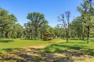 8877 Dutch Flat Trail, Smartsville, CA 95977 - Photo 33