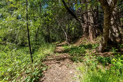 202 Gold Flat Road, Nevada City, CA 95959 - Photo 15