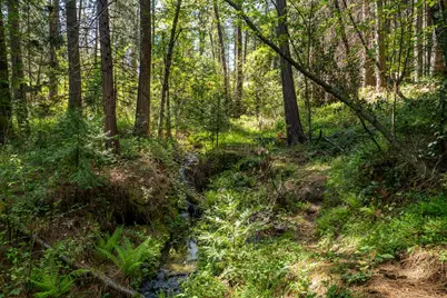 202 Gold Flat Road, Nevada City, CA 95959 - Photo 17