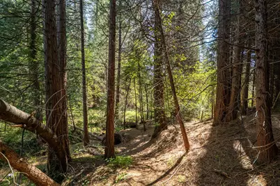 202 Gold Flat Road, Nevada City, CA 95959 - Photo 11