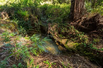 202 Gold Flat Road, Nevada City, CA 95959 - Photo 9