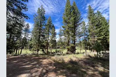 0 N 5th Street, Portola, CA 06122 - Photo 11