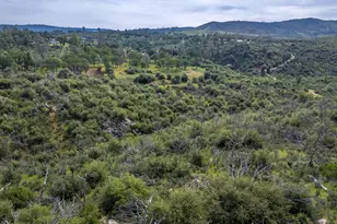 116 Bardolino Ln, Oroville, CA 95966 - Photo 33