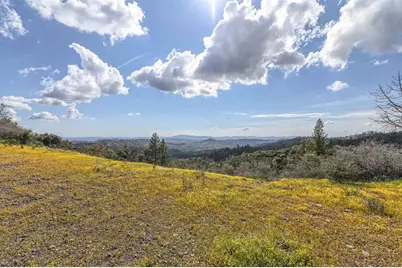 1 Pennsylvania Gulch Road, Murphys, CA 95247 - Photo 11