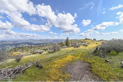 1 Pennsylvania Gulch Road, Murphys, CA 95247 - Photo 13