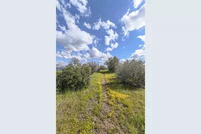 1 Pennsylvania Gulch Road, Murphys, CA 95247 - Photo 7