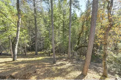 5060 Chestnut Court, Georgetown, CA 95634 - Photo 53