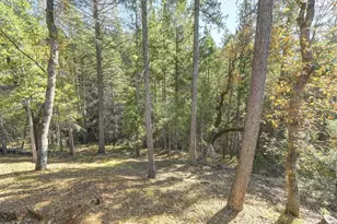 5060 Chestnut Ct, Georgetown, CA 95634 - Photo 53