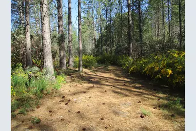 15699 Tyler Foote Road, Nevada City, CA 95959 - Photo 13