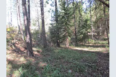 15699 Tyler Foote Road, Nevada City, CA 95959 - Photo 5