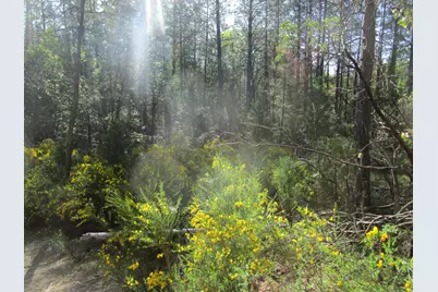 15699 Tyler Foote Road, Nevada City, CA 95959 - Photo 9