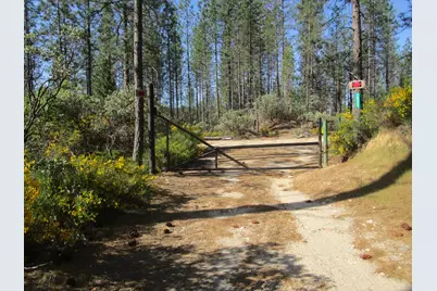 15699 Tyler Foote Road, Nevada City, CA 95959 - Photo 7