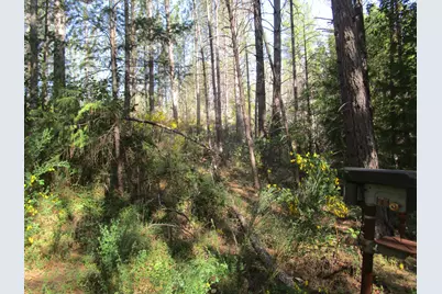 15699 Tyler Foote Road, Nevada City, CA 95959 - Photo 19