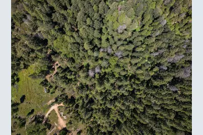 5199 Lone Star Road, Wilseyville, CA 95257 - Photo 15