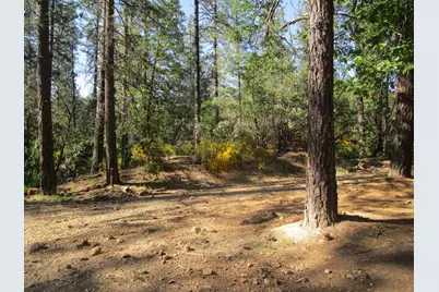 16289 Badger Hill Road, Nevada City, CA 95959 - Photo 5