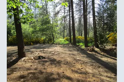 16289 Badger Hill Road, Nevada City, CA 95959 - Photo 3