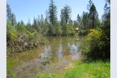 16289 Badger Hill Road, Nevada City, CA 95959 - Photo 9