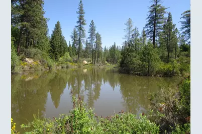 16289 Badger Hill Road, Nevada City, CA 95959 - Photo 1