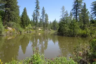 16289 Badger Hill Rd, Nevada City, CA 95959 - Photo 1