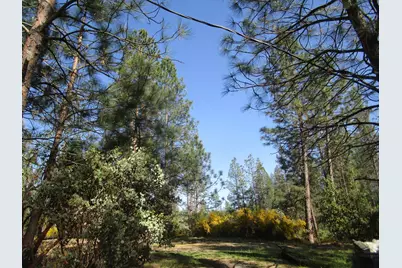 16289 Badger Hill Road, Nevada City, CA 95959 - Photo 7