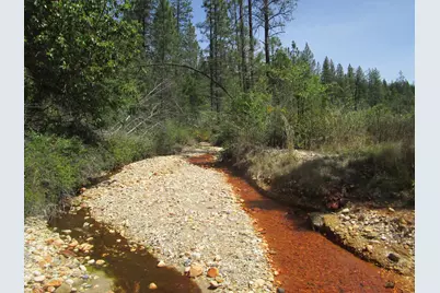 15699 Tyler Foote Road, Nevada City, CA 95959 - Photo 11