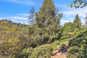 806 Blue Bell Ct, Placerville, CA 95667 - Photo 39