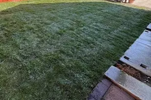 1564 Mallard Way, Sunnyvale, CA 94087 - Photo 27