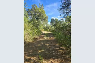 0 P C Lane, Colfax, CA 95713 - Photo 5