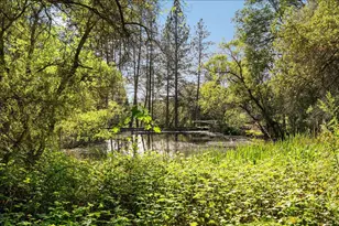 18706 Shirley Ln, Grass Valley, CA 95949 - Photo 7