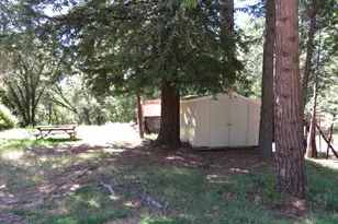 25160 Pineview Dr, Colfax, CA 95713 - Photo 69