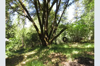 25160 Pineview Drive, Colfax, CA 95713 - Photo 41