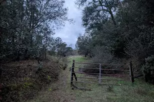 3200 Bird Haven Loop, Cool, CA 95614 - Photo 1