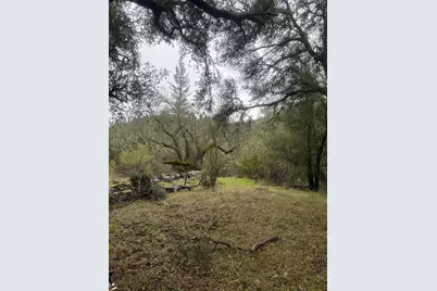 3200 Bird Haven Loop, Cool, CA 95614 - Photo 19