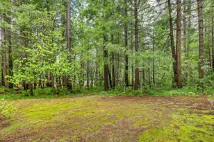 17900 Lightfoot Way, Nevada City, CA 95959 - Photo 73