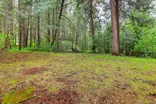 17900 Lightfoot Way, Nevada City, CA 95959 - Photo 51