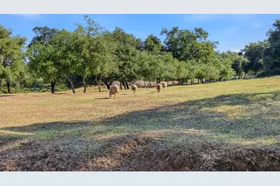 3117 Garden Bar Road, Lincoln, CA 95648 - Photo 37