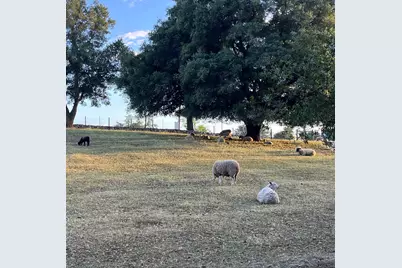 3117 Garden Bar Road, Lincoln, CA 95648 - Photo 9