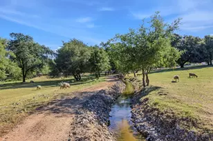 3117 Garden Bar Rd, Lincoln, CA 95648 - Photo 41