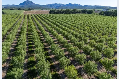 11270 Craig Road, Live Oak, CA 95953 - Photo 77