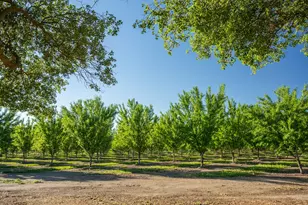 11270 Craig Rd, Live Oak, CA 95953 - Photo 81