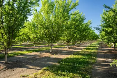 11270 Craig Road, Live Oak, CA 95953 - Photo 79