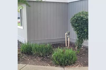 5935 Bamford Drive, Sacramento, CA 95823 - Photo 3