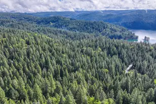 4580 Jenkinson Cir, Pollock Pines, CA 95726 - Photo 77