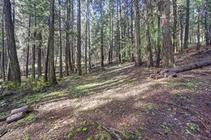 4580 Jenkinson Cir, Pollock Pines, CA 95726 - Photo 53