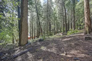 4580 Jenkinson Cir, Pollock Pines, CA 95726 - Photo 49