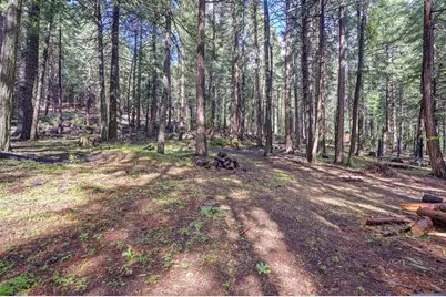 4580 Jenkinson Circle, Pollock Pines, CA 95726 - Photo 61