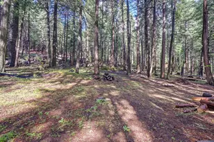 4580 Jenkinson Cir, Pollock Pines, CA 95726 - Photo 61