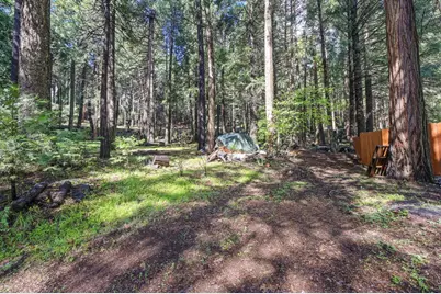 4580 Jenkinson Circle, Pollock Pines, CA 95726 - Photo 63