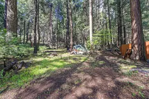 4580 Jenkinson Cir, Pollock Pines, CA 95726 - Photo 63