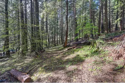 4580 Jenkinson Circle, Pollock Pines, CA 95726 - Photo 51